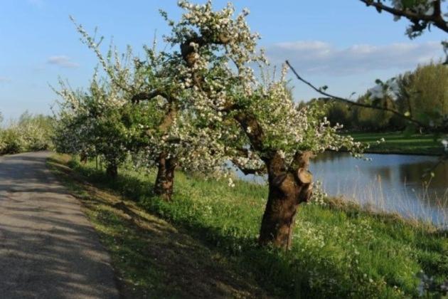 Bed & Breakfast De Neust Beesd Exterior photo